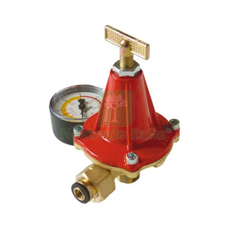 RIDUTTORE GAS PRIMO STADIO 12 KG/H CON MANOMETRO MOD. AP12 12 kg/h — Tubi e raccordi — rif. FERX.DIA421-6492