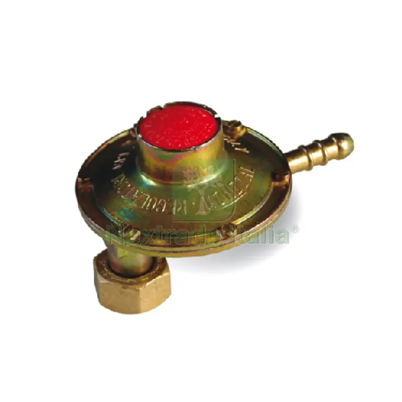 Regolatore GAS Bassa Pressione con Attacco Verticale 1 kg/h — Pompe — rif. FERX.DIA421-F065 Regolatore GAS Bassa Pressione con Attacco Verticale 1 kg/h — Pompe — rif. FERX.DIA421-F065