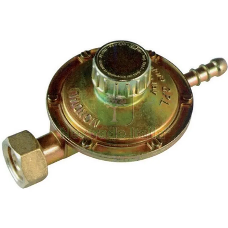 Regolatore GAS con Taratura Regolabile Attacco Orizzontale 1 kg/h — Pompe — rif. FERX.DIA421-F219010 Regolatore GAS con Taratura Regolabile Attacco Orizzontale 1 kg/h — Pompe — rif. FERX.DIA421-F219010