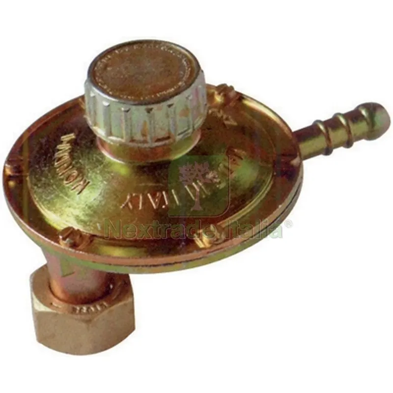 Regolatore GAS con Tartaura Regolabile Attacco Verticale 1 kg/h — Pompe — rif. FERX.DIA421-F219020 Regolatore GAS con Tartaura Regolabile Attacco Verticale 1 kg/h — Pompe — rif. FERX.DIA421-F219020