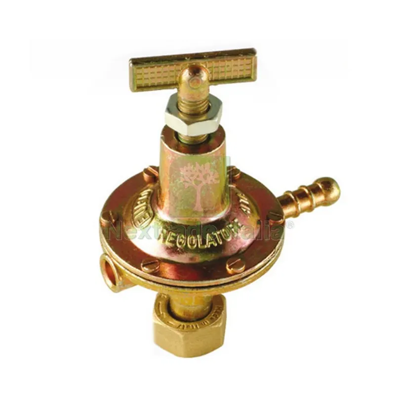 Regolatore - Riduttore GAS Alta Pressione 8 KG/H 8 kg/h — Pompe — rif. FERX.DIA421-F48078