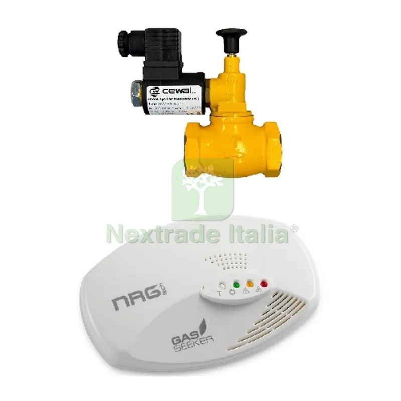 MINIKIT GASBLOC 1" Metano — Bulloni, dadi e rondelle — rif. FERX.DIA425-010-06 MINIKIT GASBLOC 1" Metano — Bulloni, dadi e rondelle — rif. FERX.DIA425-010-06