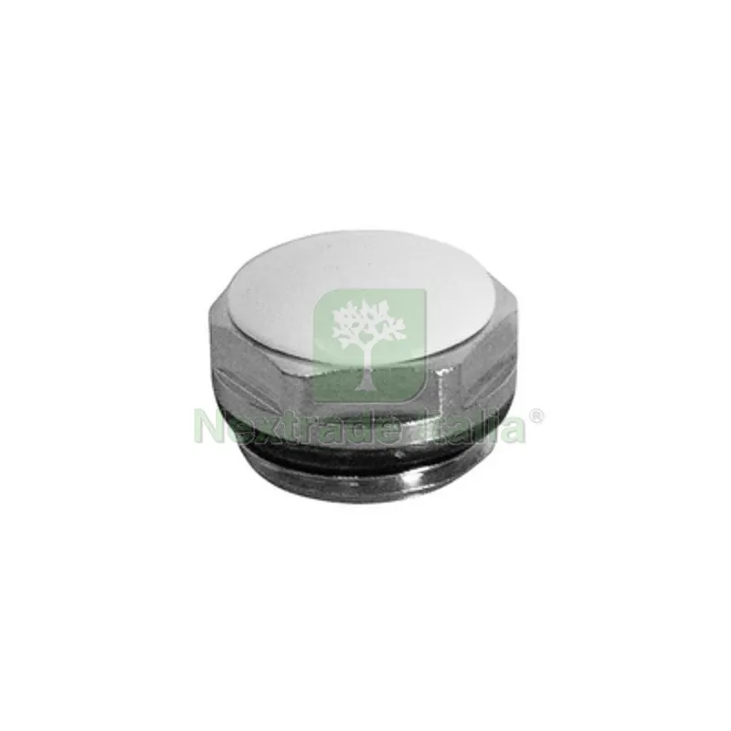 Tappo Antighiaccio Nichelato con Guarnizione 3/8" — Guarnizioni e tenute — rif. FERX.DIA433-1011-03