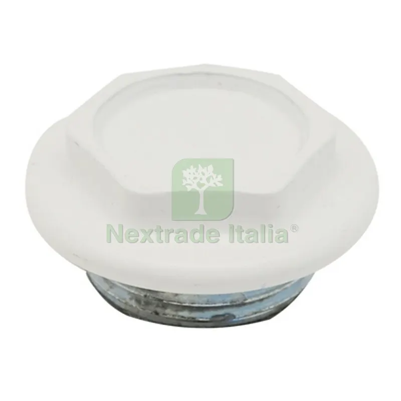 Tappo Cieco DX / SX Zincato Verniciato per Radiatori FL 56 1"1/4 Dx Bianco — Accessori bagno — rif. FERX.DIA433-1013-07D Tappo Cieco DX / SX Zincato Verniciato per Radiatori FL 56 1"1/4 Dx Bianco — Accessori bagno — rif. FERX.DIA433-1013-07D