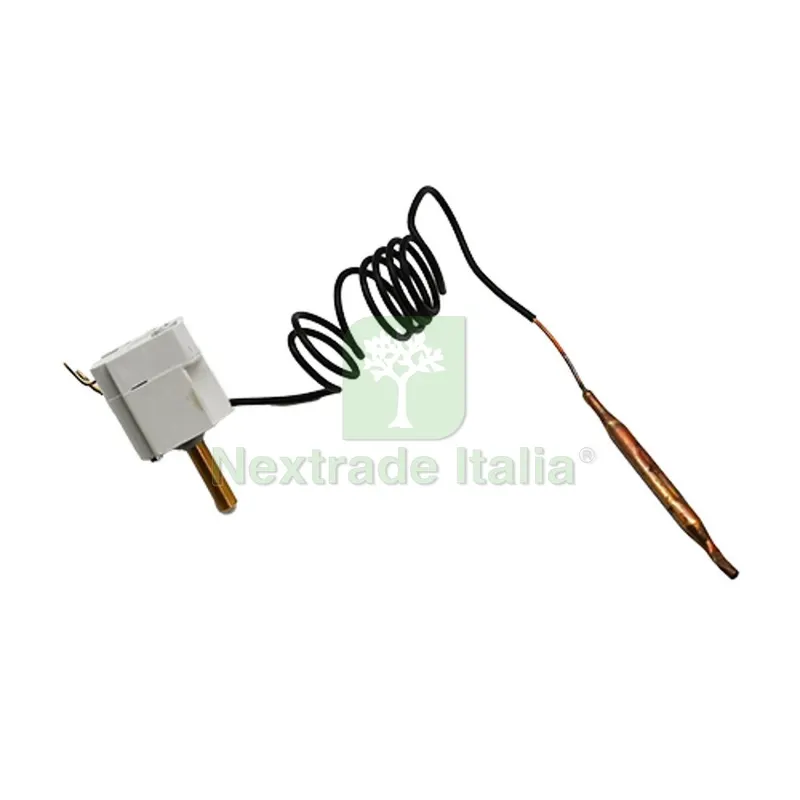 TERMOSTATO PER SCALDABAGNO ATON ERP LT 10/15 Lung. 5,5 cm — Caldaie e radiatori — rif. FERX.DIA402-AR22010 TERMOSTATO PER SCALDABAGNO ATON ERP LT 10/15 Lung. 5,5 cm — Caldaie e radiatori — rif. FERX.DIA402-AR22010