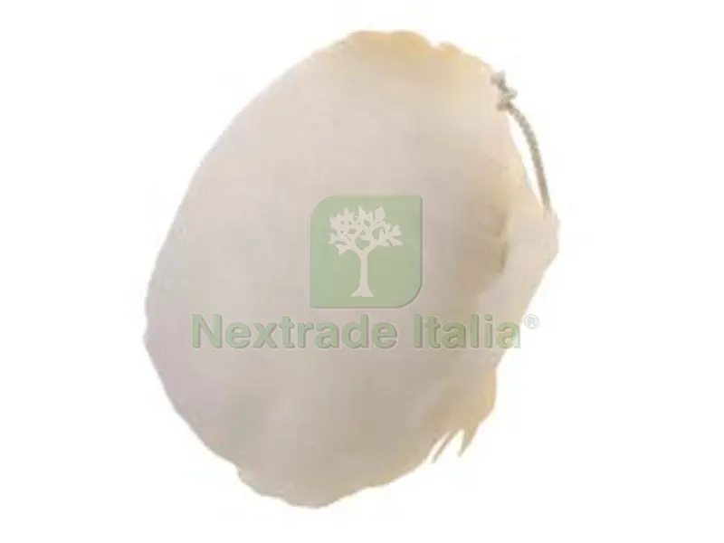 5BLISTER CUFFIE DI LANA D?AGNELLO - ? mm.140 per trapano PG 339.00 — Trapani e avvitatori — rif. FERX.FER17145 5BLISTER CUFFIE DI LANA D?AGNELLO - ? mm.140 per trapano PG 339.00 — Trapani e avvitatori — rif. FERX.FER17145