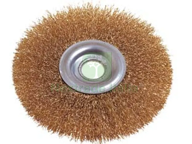 5BLISTER SPAZZOLA A DISCO CIRCOLARE CON FORO - ? mm.100 foro mm.13 PG 486.00 — Punte, frese e dischi — rif. FERX.FER17244 5BLISTER SPAZZOLA A DISCO CIRCOLARE CON FORO - ? mm.100 foro mm.13 PG 486.00 — Punte, frese e dischi — rif. FERX.FER17244