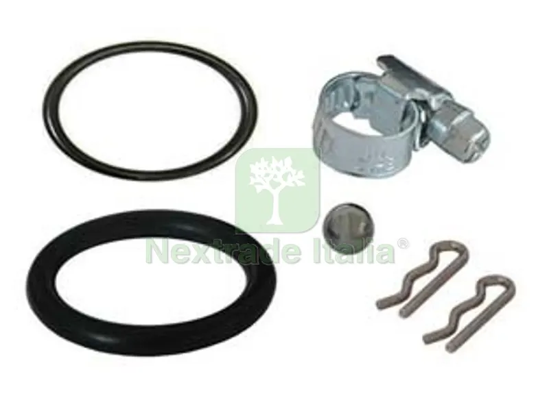 Set Ricambi per Pompe a Zaino Diana Veneta Atena — Protezione piante e sementi — rif. FERX.FER101561 Set Ricambi per Pompe a Zaino Diana Veneta Atena — Protezione piante e sementi — rif. FERX.FER101561