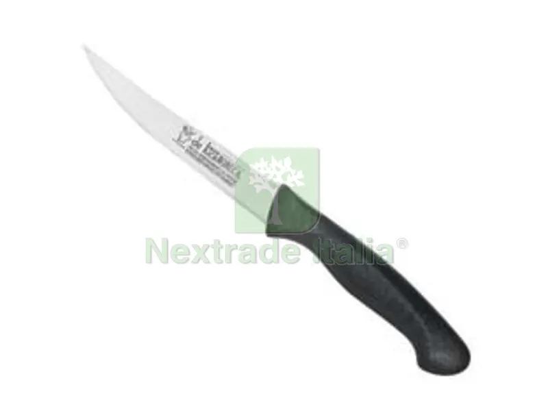 6BLISTER COLTELLO DA BISTECCA PROFESSIONALE - cm.11, art.462-11 — Cucina e coltelleria — rif. FERX.FER45070 6BLISTER COLTELLO DA BISTECCA PROFESSIONALE - cm.11, art.462-11 — Cucina e coltelleria — rif. FERX.FER45070