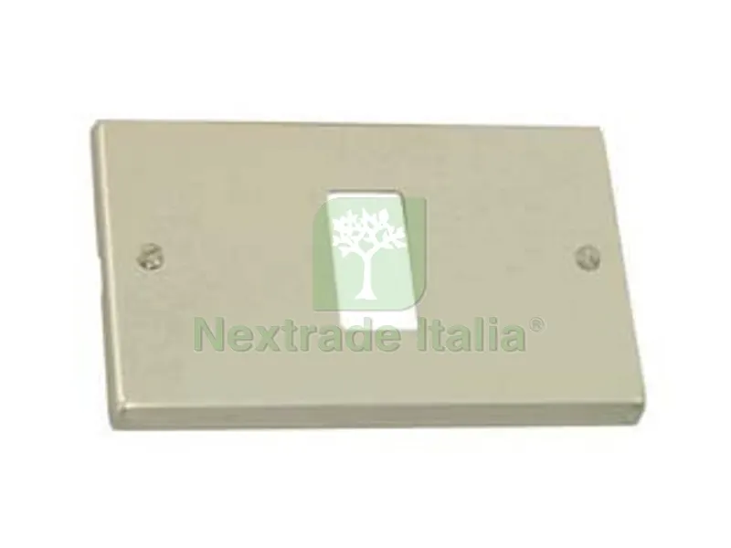 10PZ Placca 1 Posto in Alluminio Paglierino - mm.115x80h. — Interruttori e prese — rif. FERX.FER87872 10PZ Placca 1 Posto in Alluminio Paglierino - mm.115x80h. — Interruttori e prese — rif. FERX.FER87872
