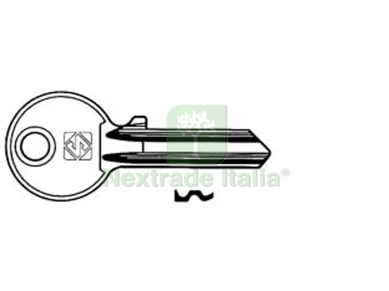 5PZ Chiavi per Cilindri ALA 5 Spine Piccole AA2R - AA2R SX — Serrature e cilindri — rif. FERX.FER50449 5PZ Chiavi per Cilindri ALA 5 Spine Piccole AA2R - AA2R SX — Serrature e cilindri — rif. FERX.FER50449