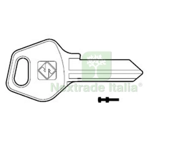 10PZ Chiavi per Cilindri Fasem 4 Spine Grandi FM1 - FM1 — Serrature e cilindri — rif. FERX.FER52412