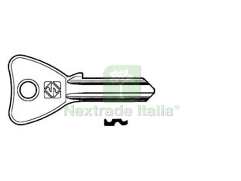 5PZ Chiavi per Cilindri Fiam 5 Spine Piccole FI065 - FI065 SX — Serrature e cilindri — rif. FERX.FER52351