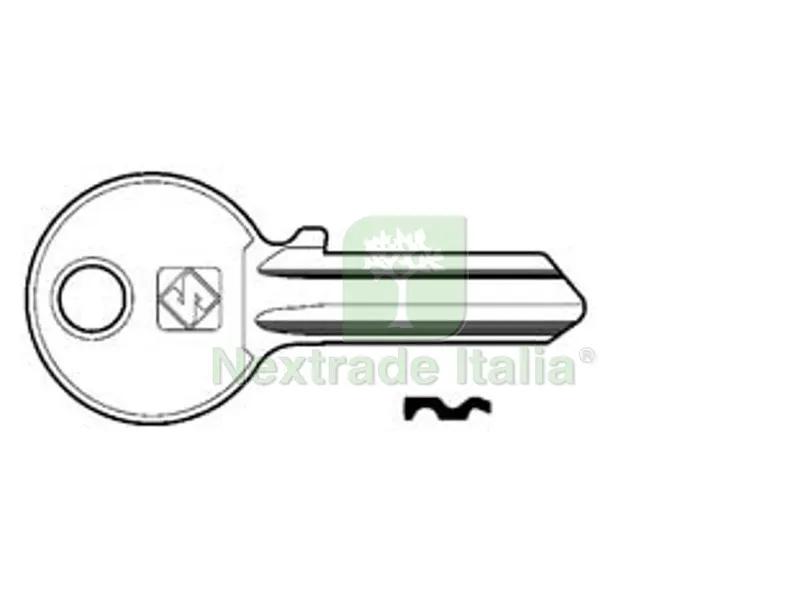20PZ chiavi per cilindri 4 spine grandi ie224 - ie224 dx — Serrature e cilindri — rif. FERX.FER52948
