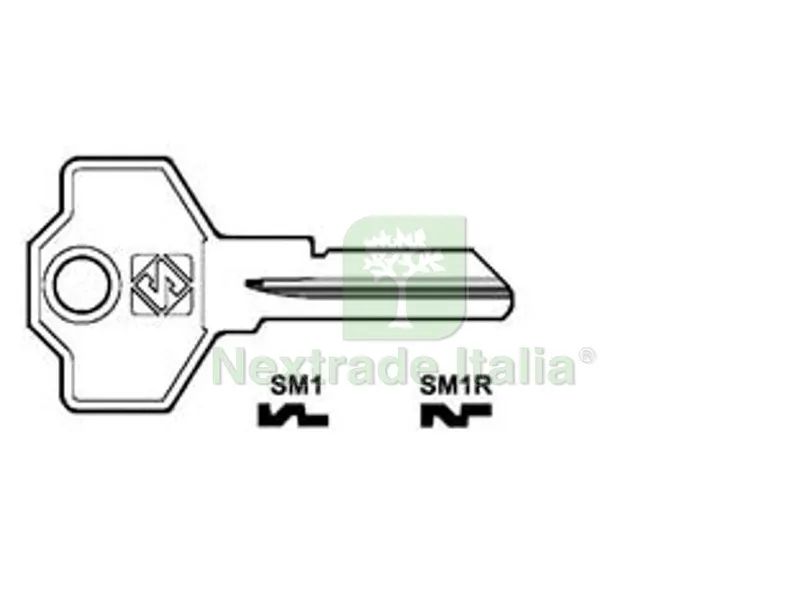 20PZ Chiavi per Cilindri Simeca 5 Spine Piccole - SM1 SX — Serrature e cilindri — rif. FERX.FER54348 20PZ Chiavi per Cilindri Simeca 5 Spine Piccole - SM1 SX — Serrature e cilindri — rif. FERX.FER54348