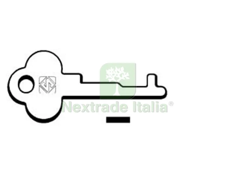 10PZ CHIAVI PASSEPARTOUT PER CASSETTE POSTALI 1003P1 - 1003P1 — Serrature e cilindri — rif. FERX.FER53709 10PZ CHIAVI PASSEPARTOUT PER CASSETTE POSTALI 1003P1 - 1003P1 — Serrature e cilindri — rif. FERX.FER53709