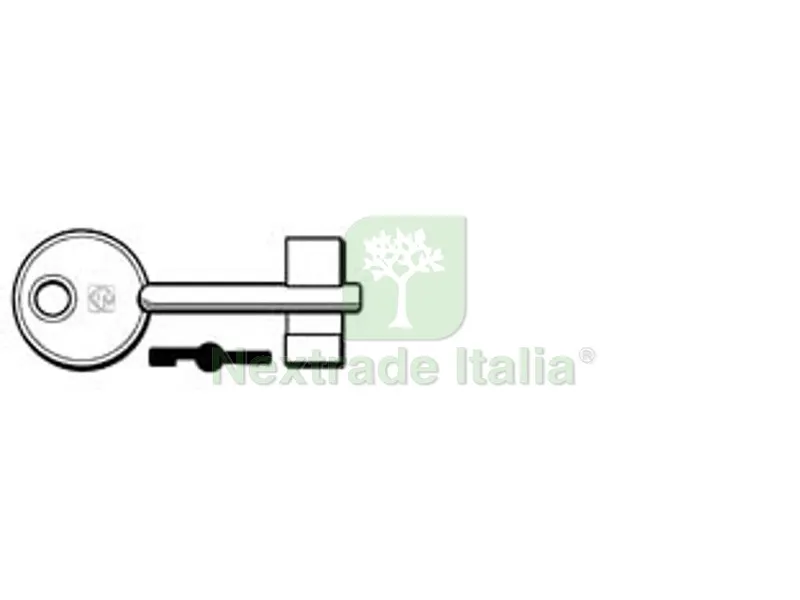 5PZ CHIAVI DOPPIA MAPPA IDM 5ID5 - 5ID5 (ex 5ID1) — Chiavi grezze e duplicati — rif. FERX.FER67010 5PZ CHIAVI DOPPIA MAPPA IDM 5ID5 - 5ID5 (ex 5ID1) — Chiavi grezze e duplicati — rif. FERX.FER67010