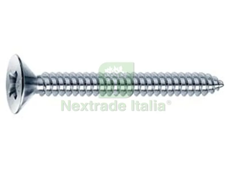 500PZ VITI AUTOFILETTANTI TESTA SVASATA PIANA ACCIAIO ZINCATO BIANCO - ? mm.4,8x16 — Viti — rif. FERX.FER38805 500PZ VITI AUTOFILETTANTI TESTA SVASATA PIANA ACCIAIO ZINCATO BIANCO - ? mm.4,8x16 — Viti — rif. FERX.FER38805