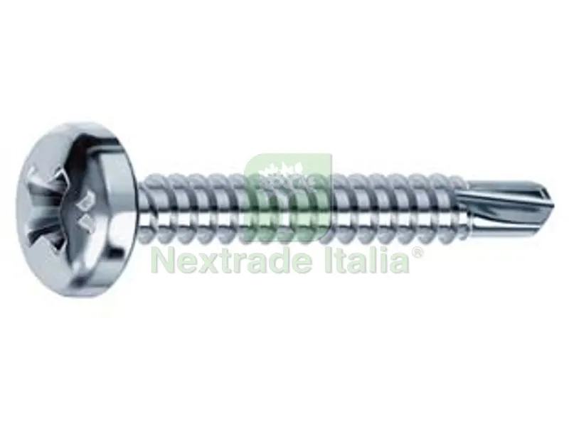 500PZ Viti Autoperforanti Testa Cilindrica Acciaio Zincato Bianco - ? mm.4,8x19 — Viti — rif. FERX.FER86721 500PZ Viti Autoperforanti Testa Cilindrica Acciaio Zincato Bianco - ? mm.4,8x19 — Viti — rif. FERX.FER86721