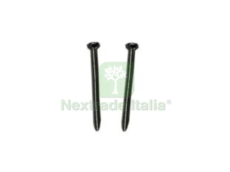 SEMENZA PER CALZOLAI - ? mm.16 — Chiodi e graffe — rif. FERX.FER2103 SEMENZA PER CALZOLAI - ? mm.16 — Chiodi e graffe — rif. FERX.FER2103