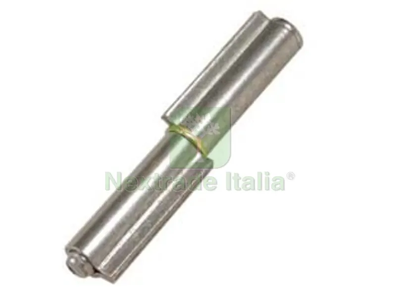 12PZ CERNIERE A DUE ALI PERNO SFILABILE ART.100 - mm.200x ? 20 — Cerniere e cardini — rif. FERX.FER40310 12PZ CERNIERE A DUE ALI PERNO SFILABILE ART.100 - mm.200x ? 20 — Cerniere e cardini — rif. FERX.FER40310