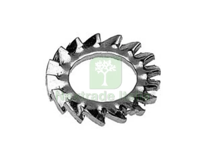 2000PZ RONDELLA DENTELLATA ESTERNA - ? mm.6 — Bulloni, dadi e rondelle — rif. FERX.FER1106 2000PZ RONDELLA DENTELLATA ESTERNA - ? mm.6 — Bulloni, dadi e rondelle — rif. FERX.FER1106
