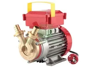 ELETTROPOMPA IN BRONZO BISENSO DA TRAVASO ROVER 20 CE 28 LT./MIN — Pompe — rif. FERX.FER12454 ELETTROPOMPA IN BRONZO BISENSO DA TRAVASO ROVER 20 CE 28 LT./MIN — Pompe — rif. FERX.FER12454