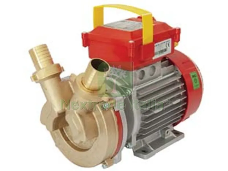 ELETTROPOMPA IN BRONZO BISENSO DA TRAVASO ROVER 30 CE 75 LT./MIN — Pompe — rif. FERX.FER24303