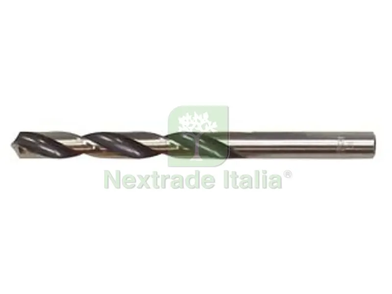 10PZ PUNTE HSS RETTIFICATE NORMALI ? mm.1 punte elicoidali HSS-G DIN 338, esecuzione rettificata, utilizzo su acciai legati e non legati — Punte, frese e dischi — rif. FERX.FER30762 10PZ PUNTE HSS RETTIFICATE NORMALI ? mm.1 punte elicoidali HSS-G DIN 338, esecuzione rettificata, utilizzo su acciai legati e non legati — Punte, frese e dischi — rif. FERX.FER30762