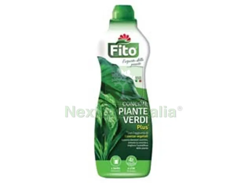 2PZ Concime Minerale Piante Verdi Plus - lt.1 in flacone — Protezione piante e sementi — rif. FERX.FER53617