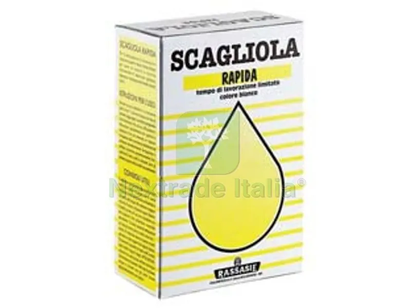 12SCATOLE Gesso Scagliola in Scatola - Kg.1 in scatola — Casalinghi e organizzazione — rif. FERX.FER61469