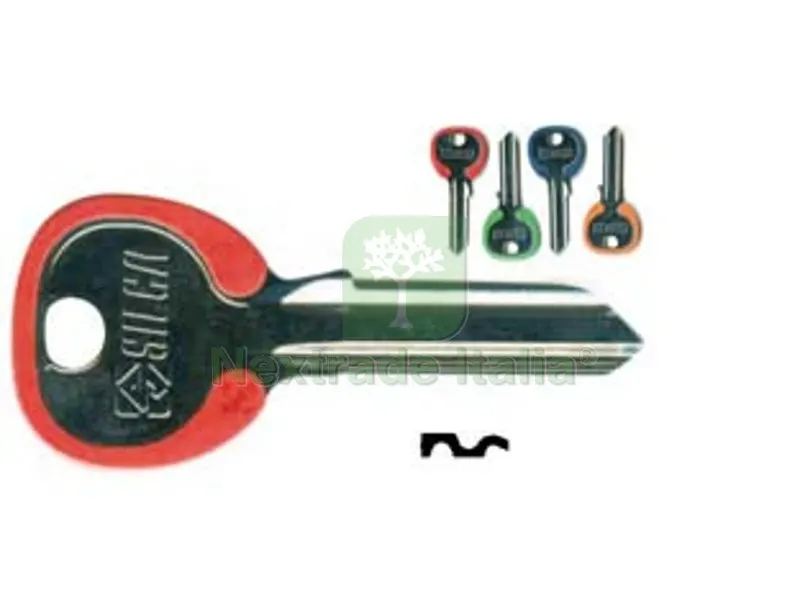 100PZ chiavi per cilindri 5 spine grandi cs206dz - cs206dz dx silky 4 colori assortiti — Serrature e cilindri — rif. FERX.FER99585 100PZ chiavi per cilindri 5 spine grandi cs206dz - cs206dz dx silky 4 colori assortiti — Serrature e cilindri — rif. FERX.FER99585