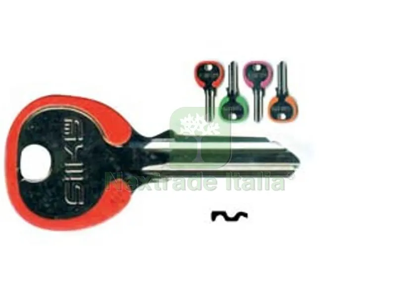 100PZ chiavi per cilindri 5 spine piccole cs7dz - cs7dz dx silky 4 colori assortiti — Serrature e cilindri — rif. FERX.FER99592 100PZ chiavi per cilindri 5 spine piccole cs7dz - cs7dz dx silky 4 colori assortiti — Serrature e cilindri — rif. FERX.FER99592