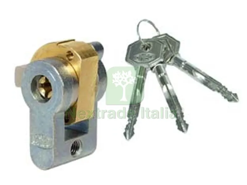 CILINDRO A INFILARE SAGOMATO CON CHIAVE A CROCE 4052 - mm.20 (4052) — Serrature e cilindri — rif. FERX.FER113267