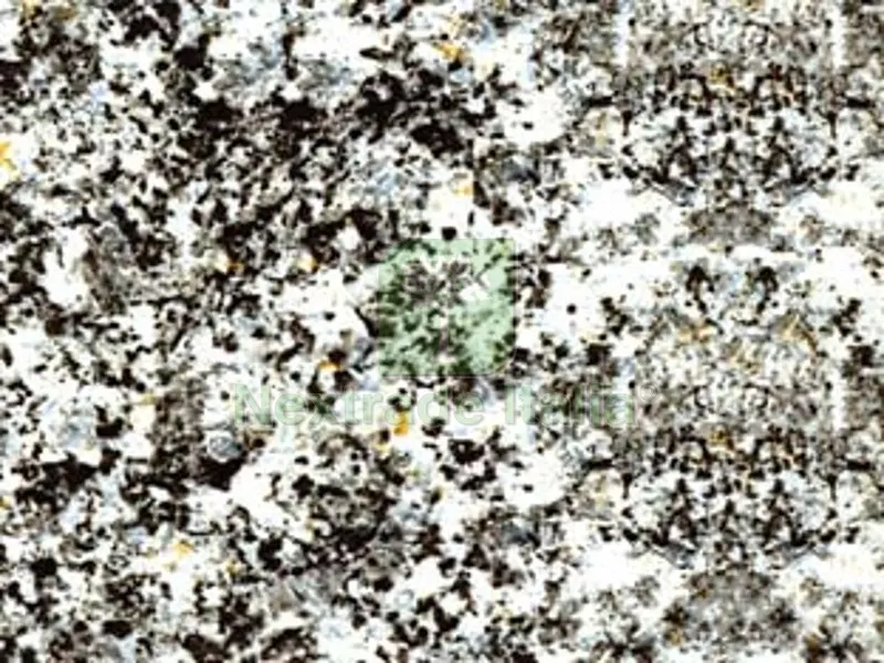 PLASTICA ADESIVA GRANITO GRIGIO (280-3162) - cm.45h. in rotoli da mt.15 — Adesivi e sigillanti — rif. FERX.FER115599 PLASTICA ADESIVA GRANITO GRIGIO (280-3162) - cm.45h. in rotoli da mt.15 — Adesivi e sigillanti — rif. FERX.FER115599
