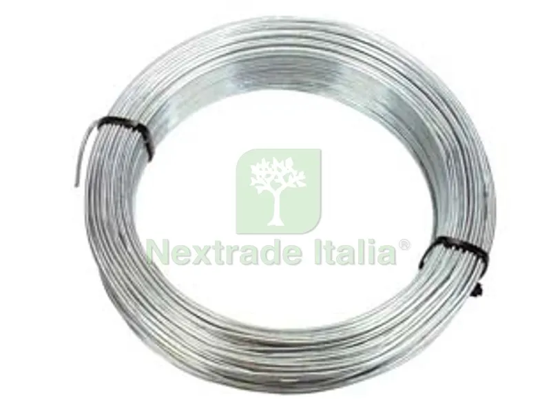 FILO FERRO ZINCATO IN MATASSE MT.100 - n?13 filo ? mm.2,0 — Ferramenta per legno e mobili — rif. FERX.FER379748 FILO FERRO ZINCATO IN MATASSE MT.100 - n?13 filo ? mm.2,0 — Ferramenta per legno e mobili — rif. FERX.FER379748