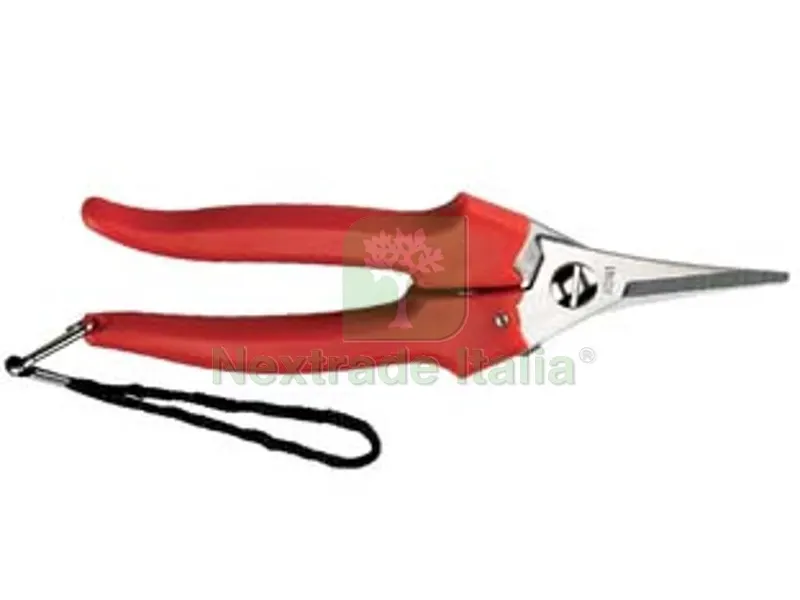 12BLISTER forbice raccolta lama stretta 31329 - cm.19 — Attrezzi da giardino — rif. FERX.FER122030 12BLISTER forbice raccolta lama stretta 31329 - cm.19 — Attrezzi da giardino — rif. FERX.FER122030