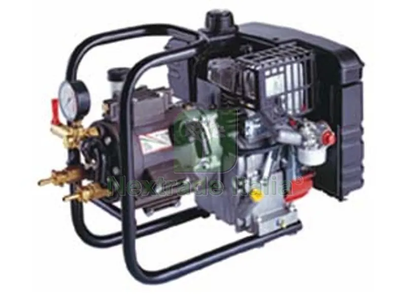 pompa alta pressione dl325 motore 4t 5 con supporto per irrorazione — Accessori bagno — rif. FERX.FER128391 pompa alta pressione dl325 motore 4t 5 con supporto per irrorazione — Accessori bagno — rif. FERX.FER128391