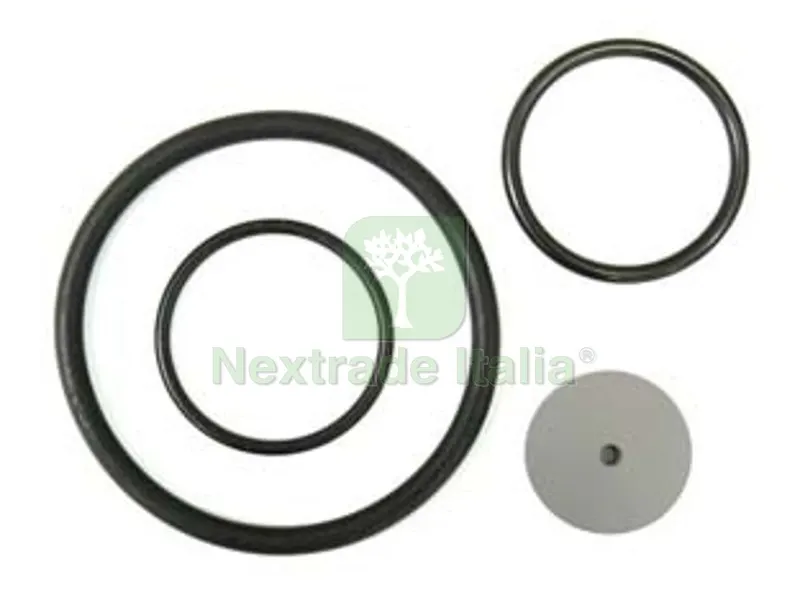 SET RICAMBI PER POMPE ARES — Protezione piante e sementi — rif. FERX.FER131889