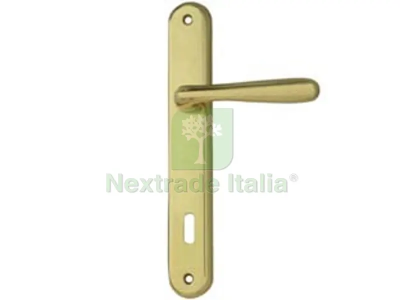 Maniglia Goccia con Placca in Zama Finitura Ottone Lucido - mm.70 foro normale — Maniglie e pomelli — rif. FERX.FER478854