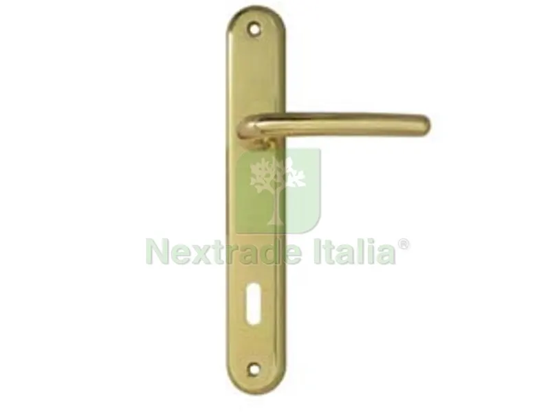 Maniglia Torino con Placca in Zama Finitura Ottone Lucido - mm.70 foro normale — Maniglie e pomelli — rif. FERX.FER496285