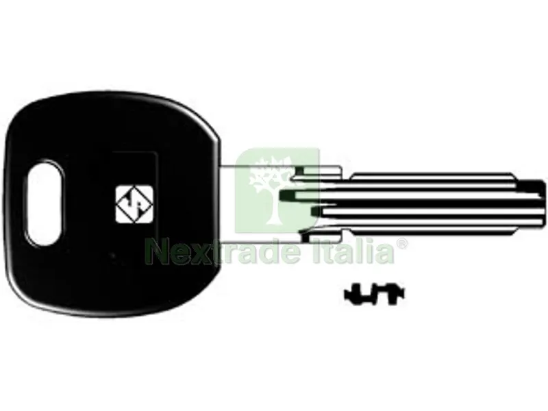 5PZ chiavi punzonate per cilindri 6+7 spine cs62ap - cs62ap — Chiavi grezze e duplicati — rif. FERX.FER166058