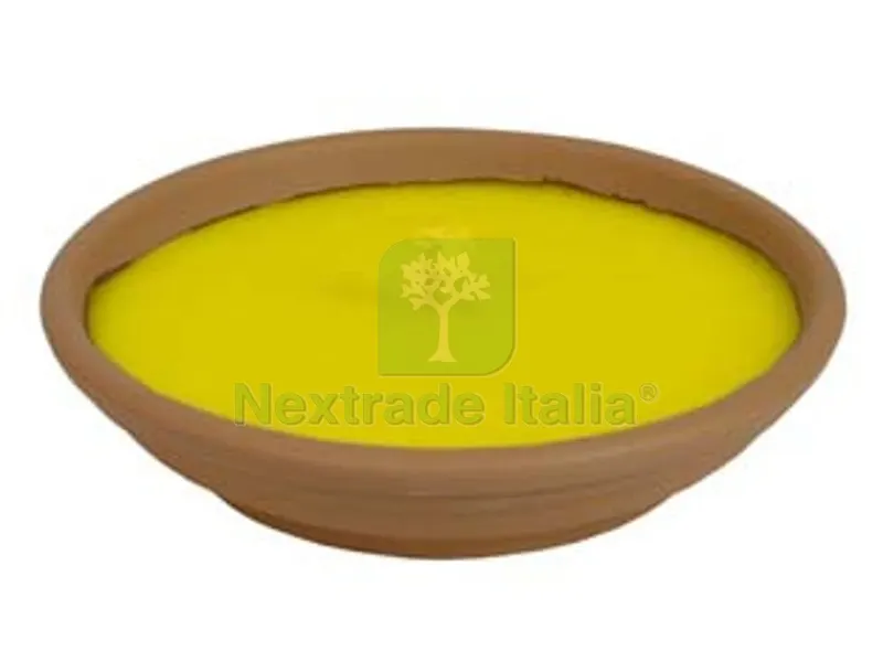 25PZ Citronella Grande in Ciotola di Terracotta - ? cm.16,5x2,5h. — Cucina e coltelleria — rif. FERX.FER168984