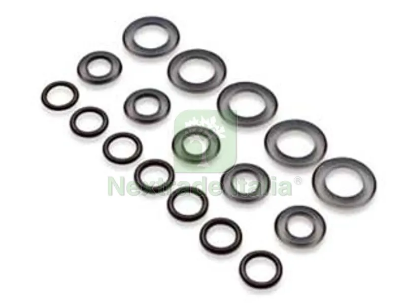 20BLISTER Guarnizioni O-Ring di Ricambio - blister (2299) — Guarnizioni e tenute — rif. FERX.FER170857 20BLISTER Guarnizioni O-Ring di Ricambio - blister (2299) — Guarnizioni e tenute — rif. FERX.FER170857