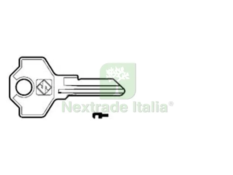 10PZ Chiavi per Cilindri Giussani 4 Spine Piccole GS13 - GS13 DX — Serrature e cilindri — rif. FERX.FER187947 10PZ Chiavi per Cilindri Giussani 4 Spine Piccole GS13 - GS13 DX — Serrature e cilindri — rif. FERX.FER187947