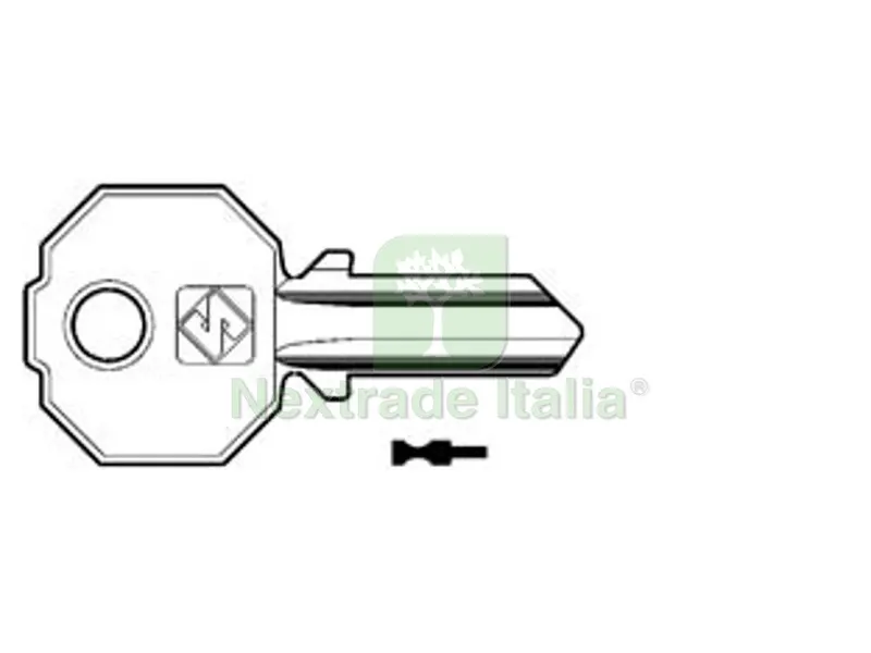 10PZ Chiavi per Cilindri Prefer 3 Spine Grandi PF5 - PF5 — Serrature e cilindri — rif. FERX.FER188074 10PZ Chiavi per Cilindri Prefer 3 Spine Grandi PF5 - PF5 — Serrature e cilindri — rif. FERX.FER188074