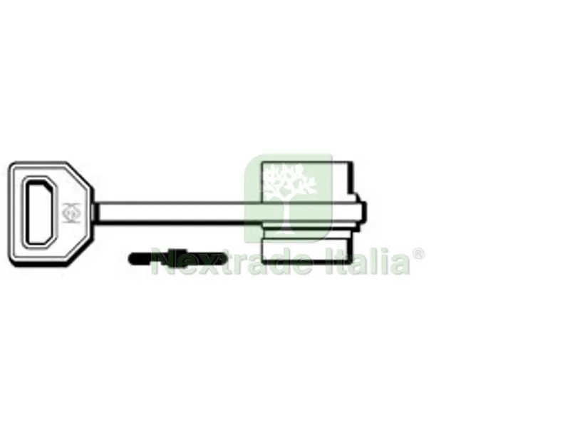 5PZ CHIAVI DOPPIA MAPPA FIAM 5FI9 - 5FI9 — Chiavi grezze e duplicati — rif. FERX.FER190268 5PZ CHIAVI DOPPIA MAPPA FIAM 5FI9 - 5FI9 — Chiavi grezze e duplicati — rif. FERX.FER190268