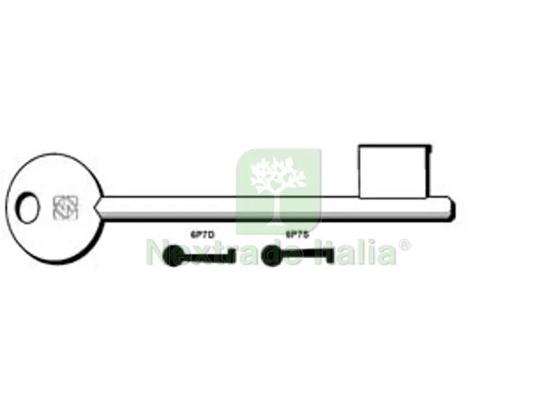 5PZ Chiavi Patent Passepartout Corni, Bonaiti, GB - 6P7D — Serrature e cilindri — rif. FERX.FER191197