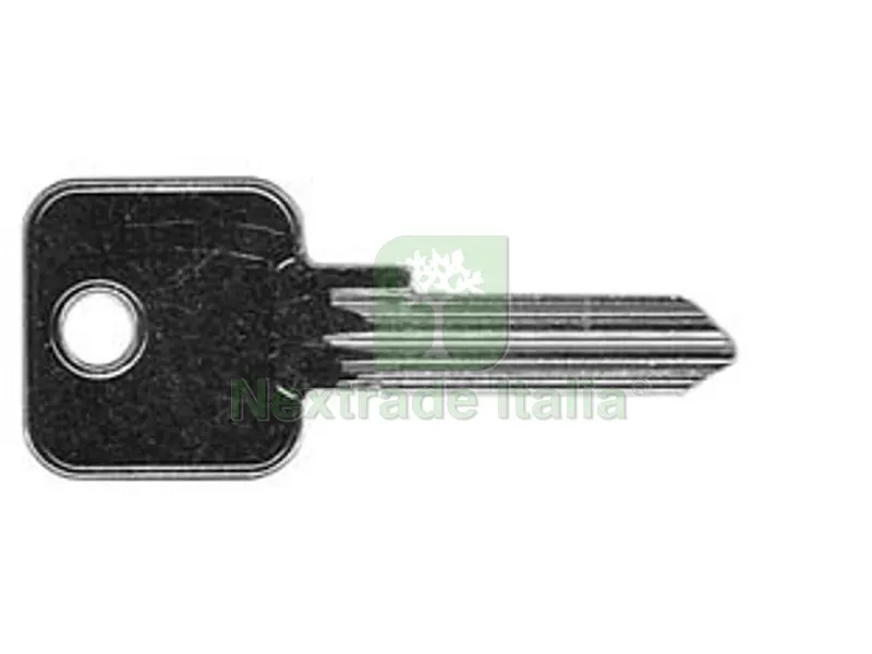 5PZ chiavi per cilindri 5 spine grandi cs84 - cs84 — Serrature e cilindri — rif. FERX.FER191234