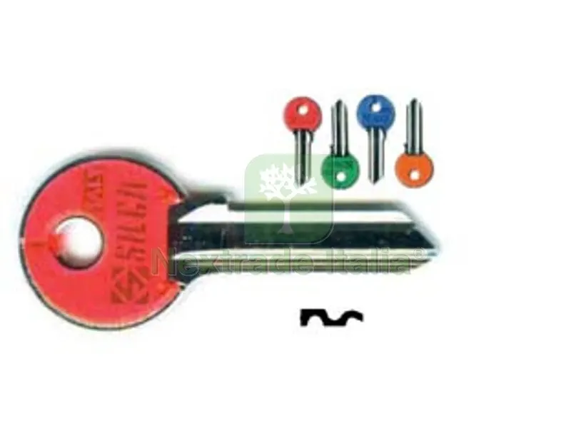10PZ chiavi per cilindri 5 spine grandi cs206asl - cs206asl dx slim fluo colori assortiti — Serrature e cilindri — rif. FERX.FER191296 10PZ chiavi per cilindri 5 spine grandi cs206asl - cs206asl dx slim fluo colori assortiti — Serrature e cilindri — rif. FERX.FER191296